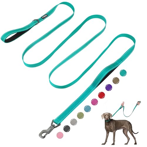 10 FT Heavy Duty Dog Leash (10 Feet (Pack of 1) / Teal)