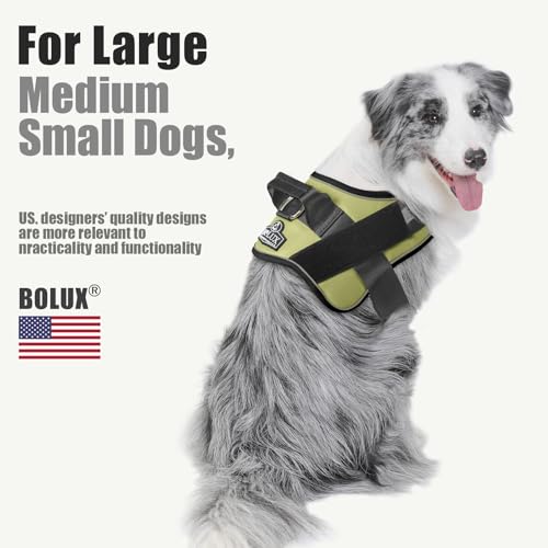 Dog Harness No (XX-Large (Pack of 1) / Matcha)