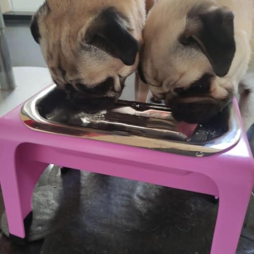 7.25 Inch Tall Elevated Dog Bowls for Medium & Small Dogs (Gray)