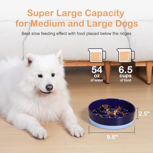 Ceramic Slow Feeder Dog Bowls for Medium Large Breed (Large-9.5 inches / Blue)