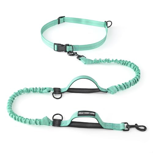 Hands Free Leash (Soild Teal / 7FT Hands Free)