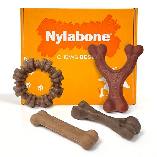 Strong Chew Dog Toy 4 (Bundle / Small)