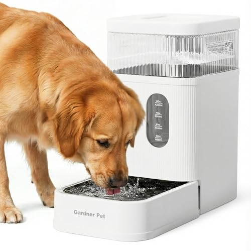 2.2 Gallon Automatic Dog Water Dispenser with Stainless Steel Bowl (White / 2.2 Gallon)