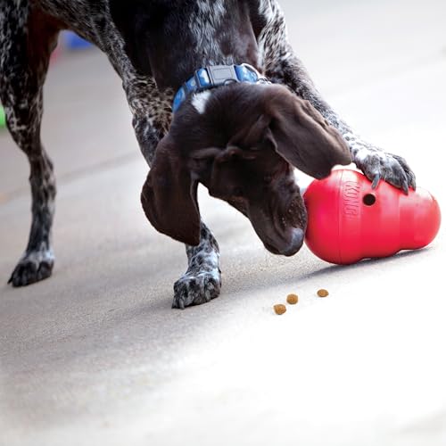 Wobbler Interactive Treat (Small (Pack of 1))
