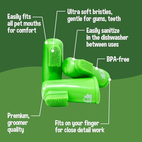 Toothbrush Combo Pack (1 Count (Pack of 12))