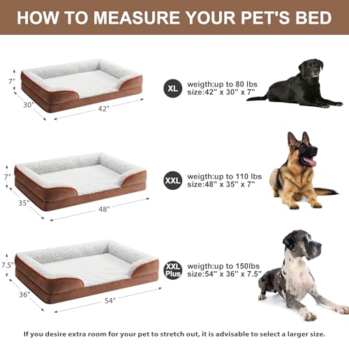 Orthopedic Dog Beds for Large Dogs (Coffee / 42"L x 30"W x 7"Th)