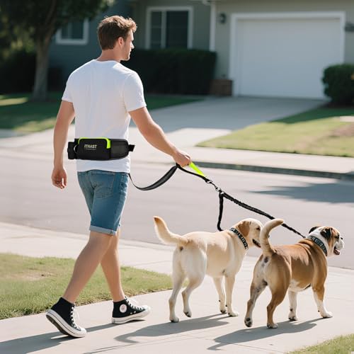 Hands Free Dog Leash for 2 Dogs (for Two Dogs / Black/Green)