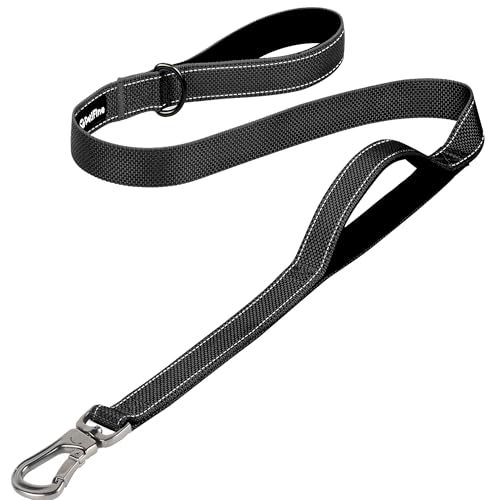 4FT Heavy Duty Dog Leash with Soft Padded Double Handle (4 FT x 1 in Wide / Black)