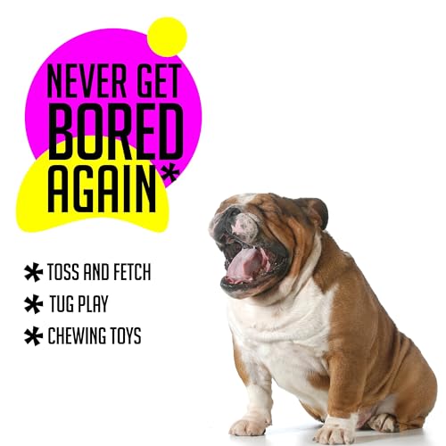 3 Pack Dog Squeaky Toys for Medium (large set)