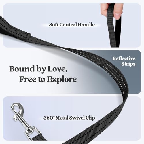 Dog Harness Small Sized and Leash Set (Black / Xs (chest: 13.3 - 15.5"))