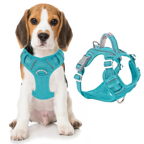No Pull Dog Harness for Medium Sized Dogs (Medium(Chest:22.5-28") / Ocean Blue)