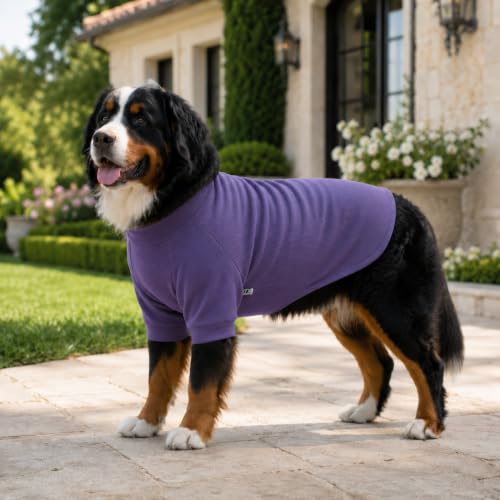 Ribbed Dog T Shirt Cotton Knitted Dog Sweaters for All Season Pet T (M (for Small Dog) / Purple)