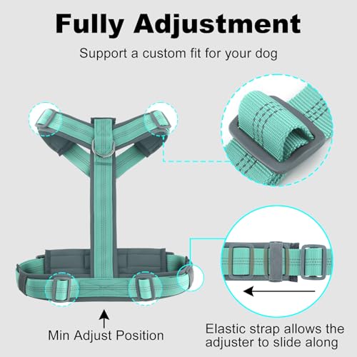 No Pull Dog Harness (S / Teal)