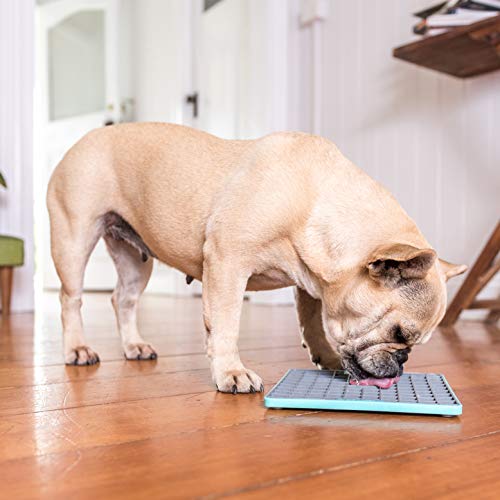 Tuff, Heavy-Duty Playdate, Dog Slow Feeder Lick Mat, Boredom Anxiety Reducer; Perfect for Food, Treats, Yogurt, or Peanut Butter, Fun Alternative to a Slow Feed Dog Bowl, Turquoise (Turquoise)