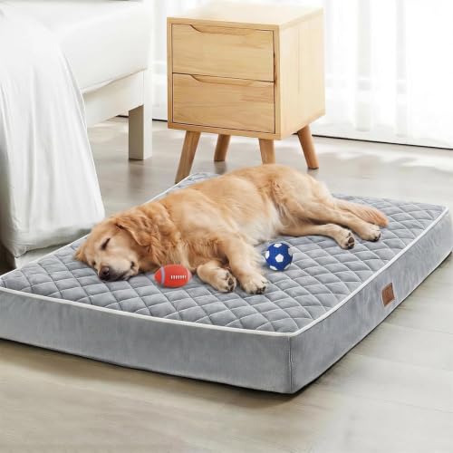 Orthopedic XXL Dog Beds for Large Senior Dog Bed Comfy Sleeping (Light Grey / 47"L x 29"W x 3.5"Th)
