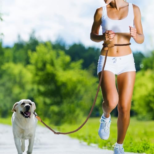 Hands Free Dog Leash (Dark Brown / 8FT Hands Free)