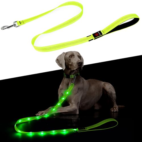 Light Up Dog Leash (Green)