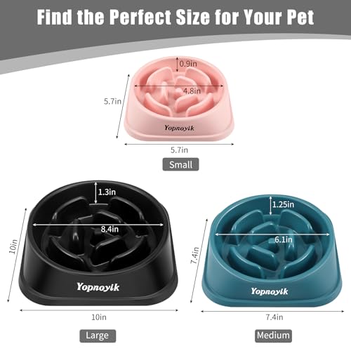 Slow Feeder Dog Bowls for Large Dogs (Large / Black)