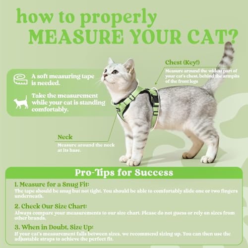 Cat Harness and Leash Set (Xxs / Light Green)