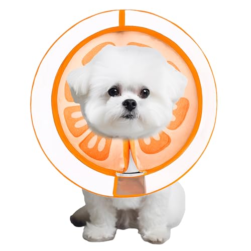 Inflatable Dog Cone Collar for Large Medium Small Dogs (Orange / Medium)