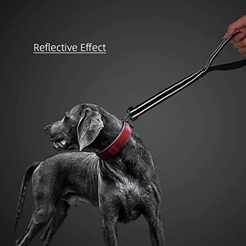 Short Dog Leash (Wide-Red)