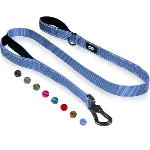 6FT 1IN Heavy Duty Dog Leash for Large Dogs with 2 Padded Handles (Ultramarine / 1 in x 6 ft)