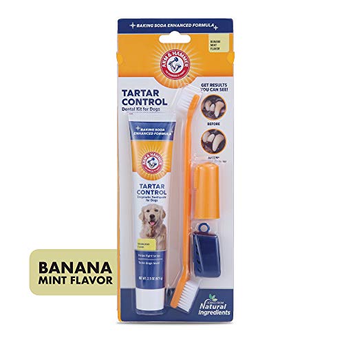 Tartar Control Dog Dental Kit (2.5 Ounce (Pack of 2))