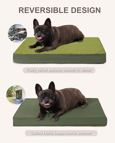 Orthopedic Dog Bed for Small Dogs with Waterproof Lining (Green / 23.0"L x 17.0"W x 3.0"Th)