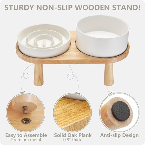 Ceramic Slow Feeder and Water Bowl Set for Small Dogs (White / 6" D)