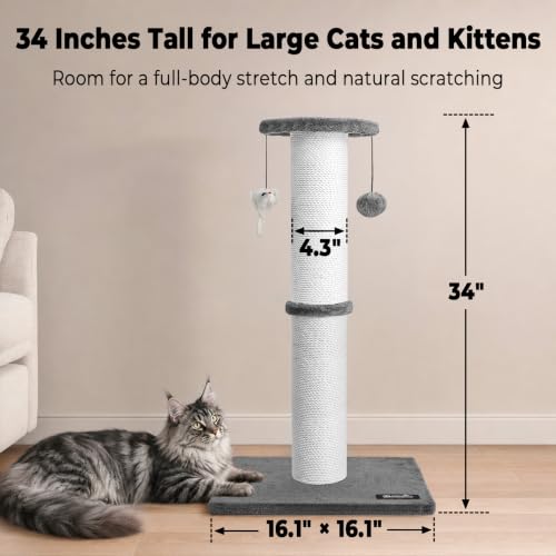 34 Inch Tall Cat Scratching Post for Large Cats (Gray)