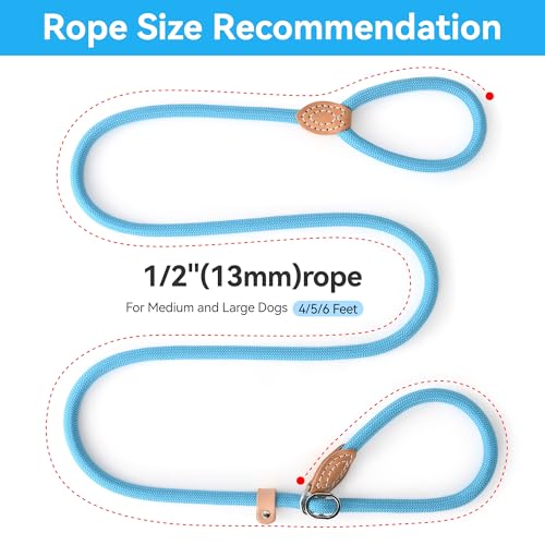 Heavy Duty Slip Lead No Pull Leash 6 (Blue / 5 Feet)