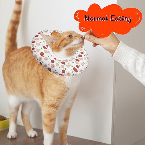 Cat Cone Collar Soft (Pink Cherry / Medium)