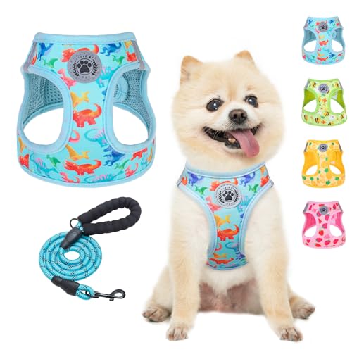 Dog Harness Medium Sized and Leash Set (Medium(Chest Girth 16" - 18") / Dinosaurs Pattern)