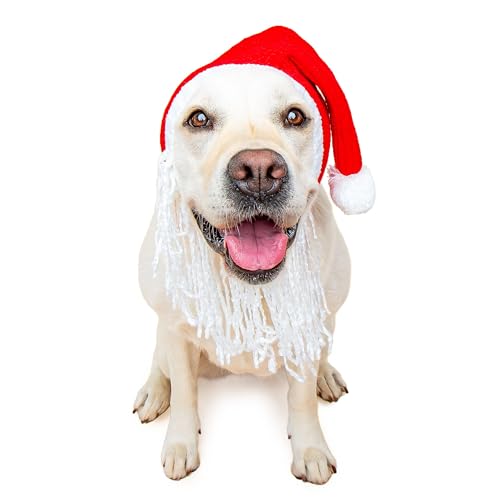Christmas Santa Beard and Hat Costume (Santa w/Beard / Large)