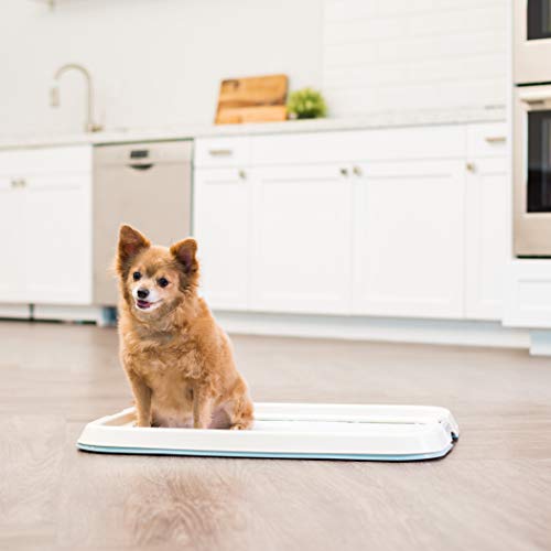 Pee Pad Holder (Blue / 17" x 23")