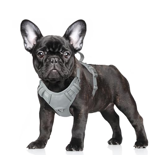 Dog Harness for Small Sized Dog No Pull Dog Vest ID Tag Pocket (Grey / Small)