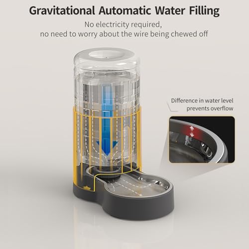 Cat Water Dispenser and Stainless Steel Bowl (Grey / 4L Base)