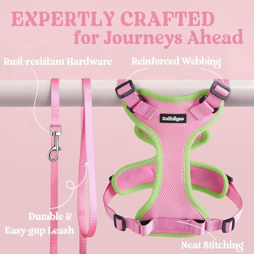 Cat Harness and Leash Set (S / Pink & Light Green)