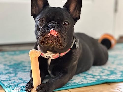 Power Chew Original Bone Dog Chew Toy (Small)