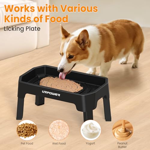 Mess Proof Elevated Dog Bowls Double Deck Slow Feeder (Jet Black / Large)