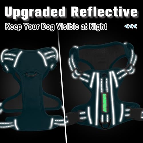 No Pull Dog Harness for Large Dogs (Large(Chest:24.5-32.5") / Aqua-Oxford)