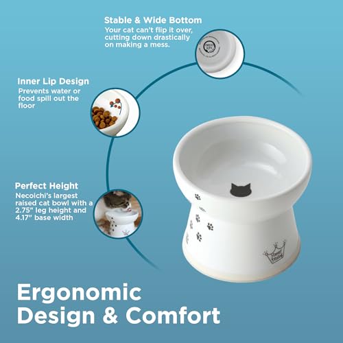 Necoichi Ceramic Raised Cat Food Bowl (Cat / Large)