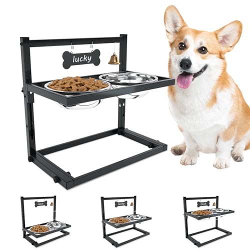 Elevated Dog Bowls for Medium Dogs and Cats (small and medium dogs)