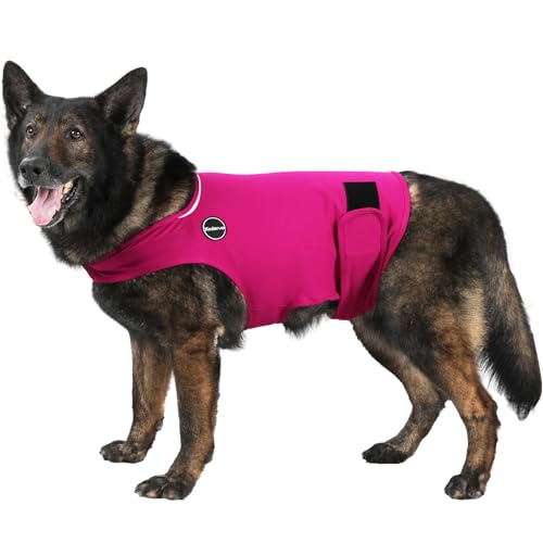 Dog Anxiety Jacket (X-Small / Rose)
