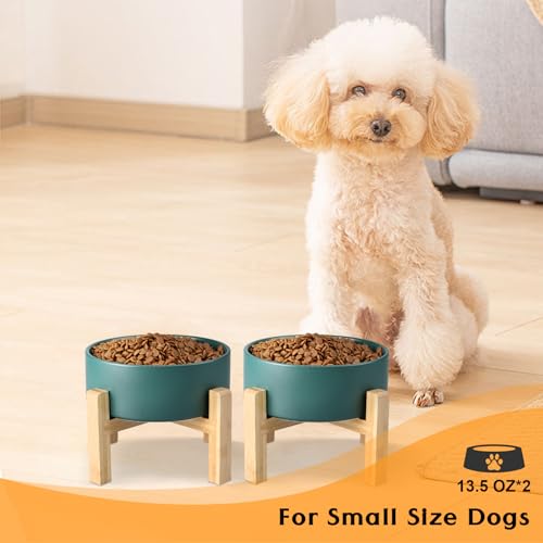 Ceramic Elevated Dog Bowls 2 Pack (Small - 1.7 CUPS*2 / Green)