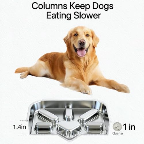 Stainless Steel Slow Feeder Dog Bowls Medium & Large Breed 3 Cups (Sliver)