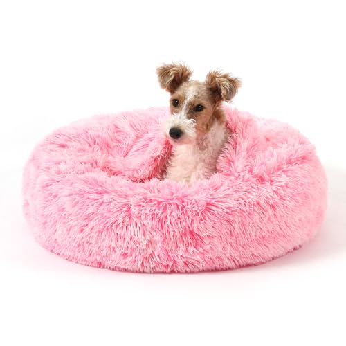 Calming Donut Dog Bed (Gradient Pink / Small 19.7''x19.7''x7'')