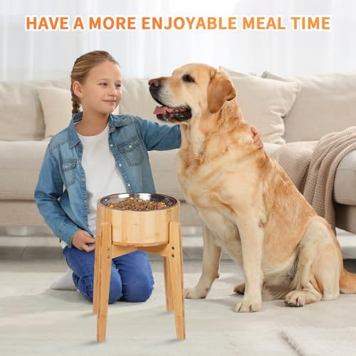Elevated Dog Bowls for Large Dogs Feeder Two Bowls with a Stainless Steel and Bamboo Dishes