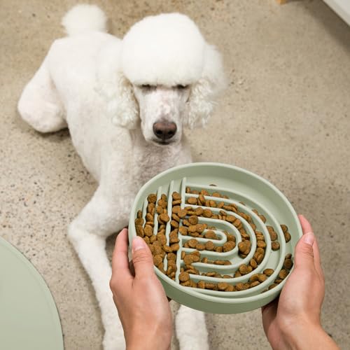 Slow Feeder Dog Bowl (Sage - Rainbow Design / Large (9.5” Across and 1.5” Tall))