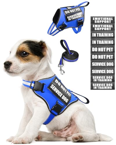 Small Service Dog Vest Harness and Leash Set+10 Patches Blue XS (Extra-Small / Blue)